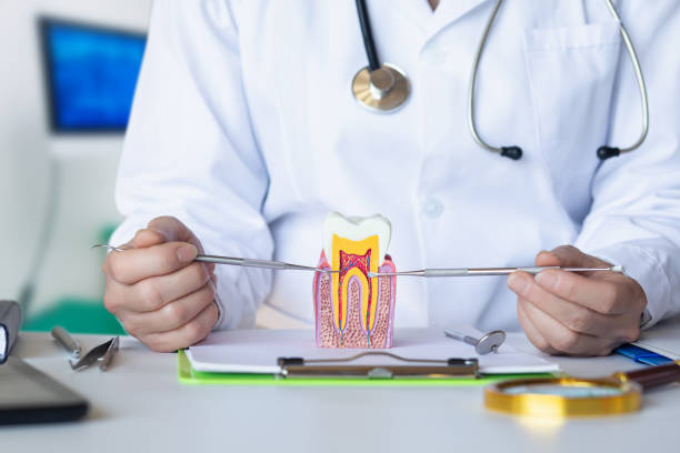 Best Emergency Dental Care for Broken or Chipped Teeth in Roan Mountain, TN